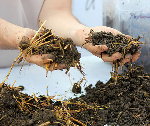 Elbomlott szármaradványok