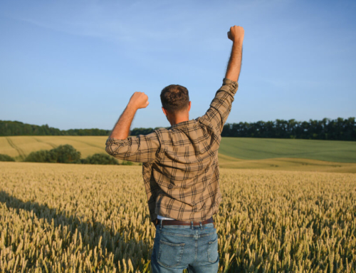 Lewy prosty, prawy sierpowy, cios w brzuch