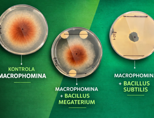 Wymierne korzyści dla rolników – Biologia gleby oparta na badaniach i danych