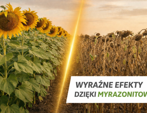 Wyniki gospodarstw i badań mówią same za siebie